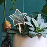 Etichetta Tag Legno da Pianta Personalizzata Buon Natale a forma di Stella Tag in legno da pianta