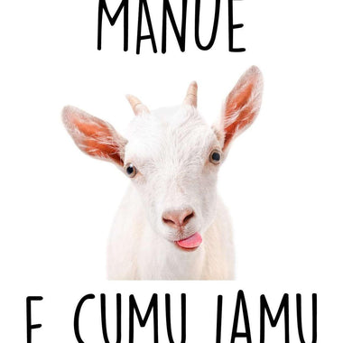 T-shirt Donna Manuè e cumu iamu-T-shirt-Lol T-shirt